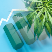 This is Why Marijuana Stocks Are Not Short Term Investments
