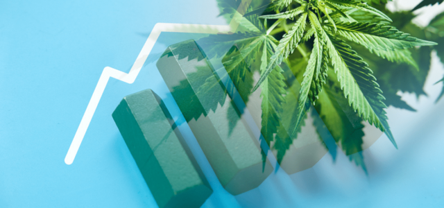 This is Why Marijuana Stocks Are Not Short Term Investments