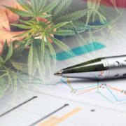 Top Marijuana Stocks For This Weeks Watchlist