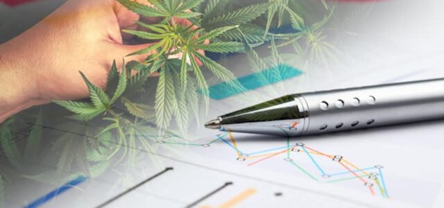 Top Marijuana Stocks For This Weeks Watchlist