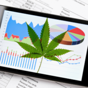 Unleashing the Green Wave: Investing in the Flourishing Cannabis Stocks of the US Sector in 2023