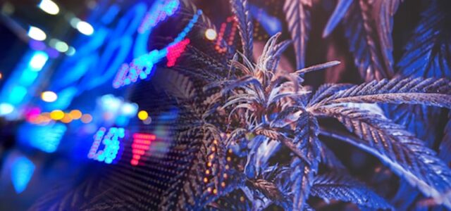 2 Top Marijuana Stocks To Watch 3rd Week Of June