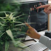 3 Marijuana Stocks To Buy Before The End Of The Month
