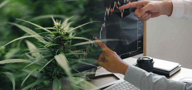 3 Marijuana Stocks To Buy Before The End Of The Month