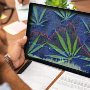 4 Marijuana Stocks For Better Trading This Month