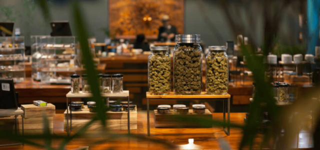 Committee Blog: Optimizing the Cannabis Dispensary Experience – An In-depth Look at Terpenes, Cannabinoids, and THC for Superior Customer Service