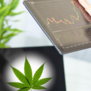 Exploring the Potential of Top US Cannabis Companies and Marijuana Stocks in 2023