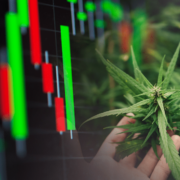 High Risk, High Reward: Exploring the Potential of Marijuana Penny Stocks in June 2023