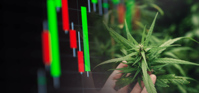 High Risk, High Reward: Exploring the Potential of Marijuana Penny Stocks in June 2023