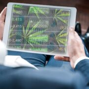 Investing In Top Marijuana Stocks 2023