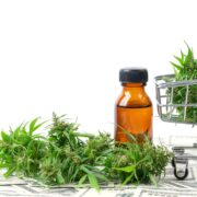 Planet 13 Stock: Pot Stock Up 44% in 2023 & Could Still Double