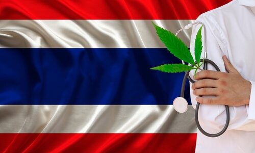Thailand’s cannabis lovers face comedown amid legalisation U-turn