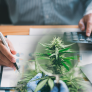 The Future of Dividend Stocks: Why Cannabis REITs are a Game-Changer in 2023