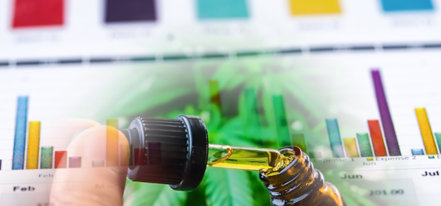 The Growth And Future Potential Of The Cannabis Industry