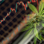 The Pros And Cons Of Looking For Marijuana Stocks To Buy