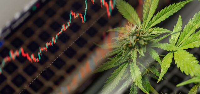 The Pros And Cons Of Looking For Marijuana Stocks To Buy