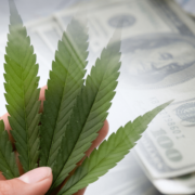 Top Cannabis Penny Stocks For June 2023