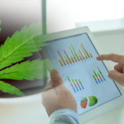 Top Marijuana Stocks To Start The Month Of June