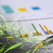 Top Marijuana Stocks To Watch In The Cannabis Sector 2023