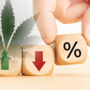2023’s Top Global Cannabis Stocks: Unveiling the Best Global Opportunities