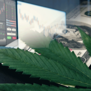 3 Marijuana Stocks To Watch First Week Of August