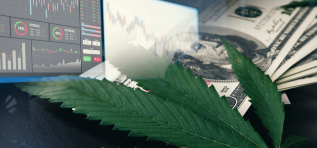 3 Marijuana Stocks To Watch First Week Of August