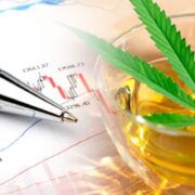 3 Top Marijuana Stocks Of 2023 To Watch Right Now