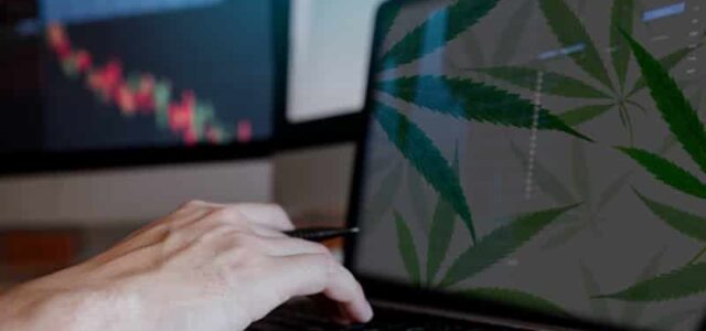 3 Top Marijuana Stocks To Watch This Week