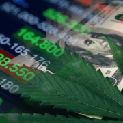 Ancillary Cannabis Stocks: Paving the Way for Growth in August 2023