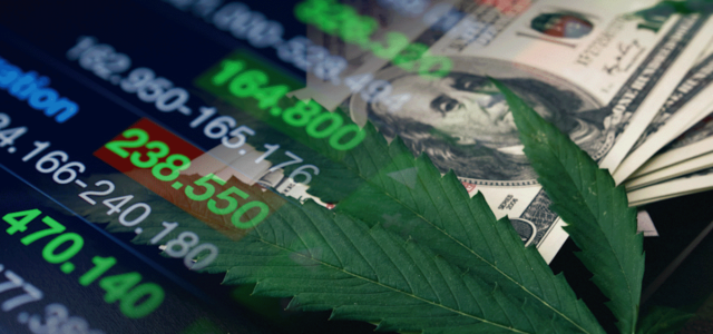 Ancillary Cannabis Stocks: Paving the Way for Growth in August 2023