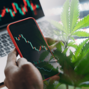 Are These 3 Top Marijuana Stocks On Your Watchlist?