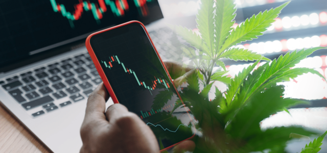 Are These 3 Top Marijuana Stocks On Your Watchlist?