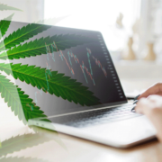 August 2023: Top Marijuana Penny Stocks to Watch for Potential Gains