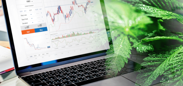 Capitalizing on the July Uptrend: Investing in Lucrative Cannabis Penny Stocks