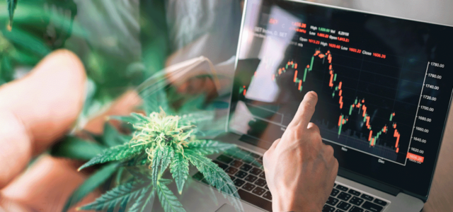 Cashing in on Cannabis: The 3 Best Stocks Surging This Week in July 2023