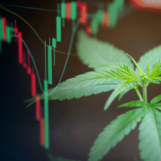 Emerging Trends in Canadian Cannabis Stocks: What Investors Need to Know in 2023