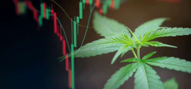 Emerging Trends in Canadian Cannabis Stocks: What Investors Need to Know in 2023