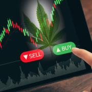 Investing In Marijuana Stocks? 3 To Watch Today