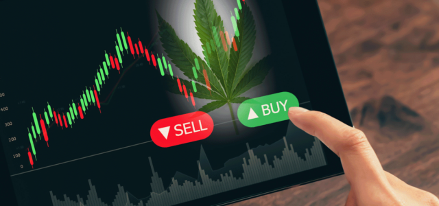 Investing In Marijuana Stocks? 3 To Watch Today