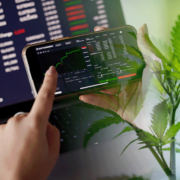 July 2023’s Must-Watch US Marijuana Stocks: Investing in the Green Rush