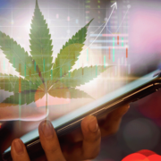Marijuana Stocks To Watch And The Due Diligence Process