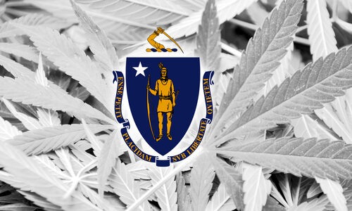 Massachusetts Cannabis Commission ‘in crisis,’ chair says