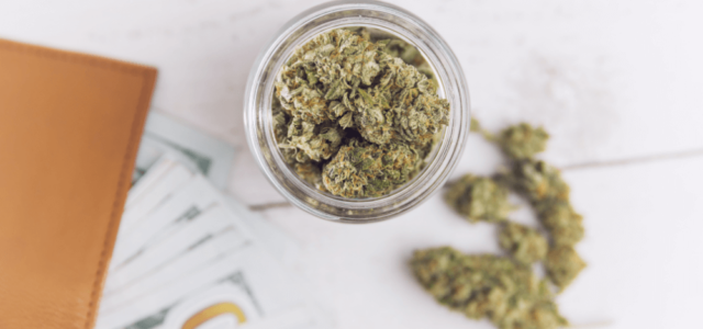 Member Blog: The Evolution of Cannabis-Friendly Banks and Credit Unions