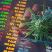 The Best 3 Marijuana Stocks To Add To Your 2023 Watchlist