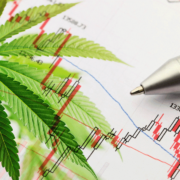 Top Marijuana Penny Stocks to Watch in July 2023: High-Growth Opportunities