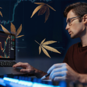 Top US Ancillary Cannabis Stocks: July 2023 Analysis and Investment Opportunities