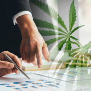 Top US Cannabis Stocks and their Potential Catalysts in 2023