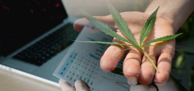 Unlocking Potential: The Best Ancillary Cannabis Stocks for Mid-July 2023