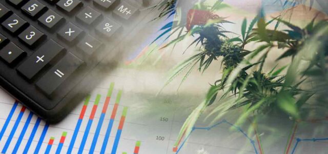 Unlocking Short-Term Gains: Top Marijuana Stocks Before August 2023