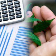 3 Marijuana Stocks For Your 2023 Watchlist